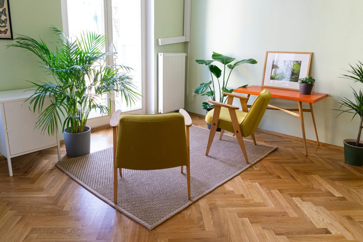 Brown wooden chair near green potted plant